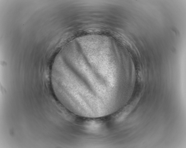 X0000090880561200708101346