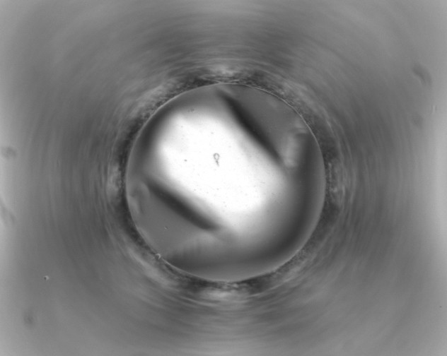 X0000090880563200708101346