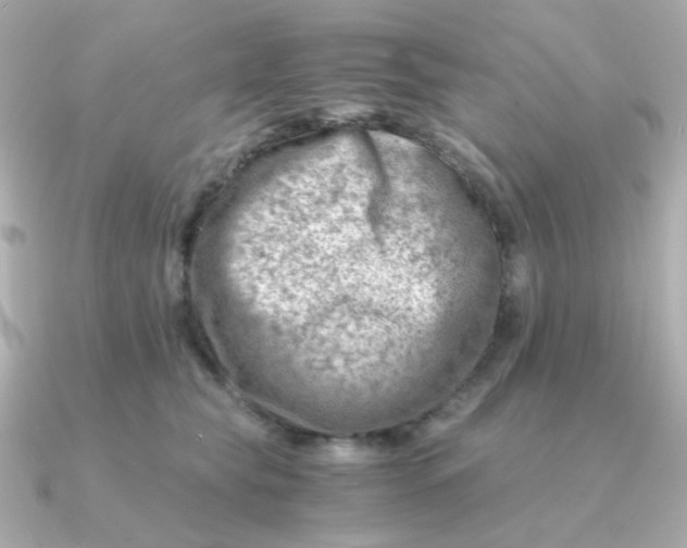 X0000090880565200708101346