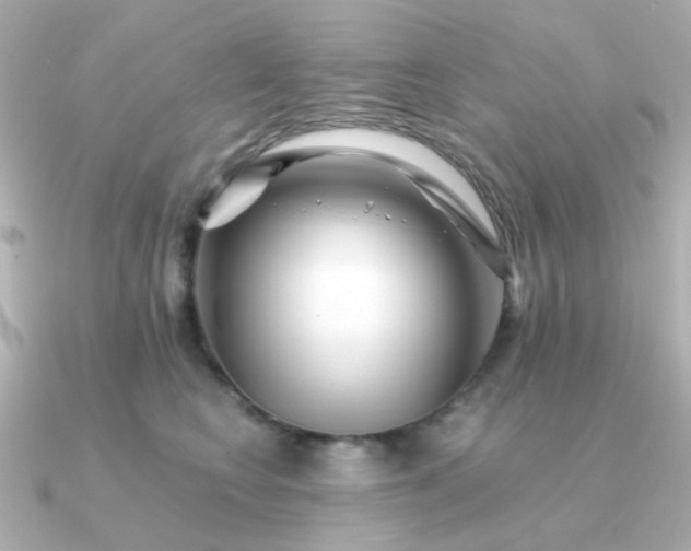 X0000090880566200708101346