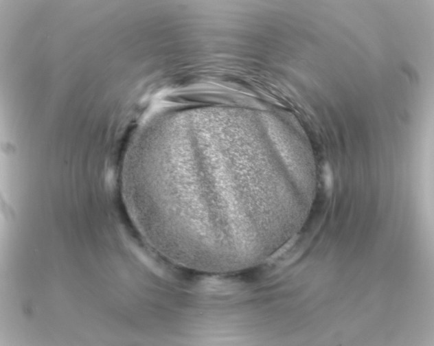 X0000090880568200708101346