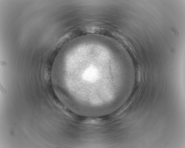 X0000090880569200708101347