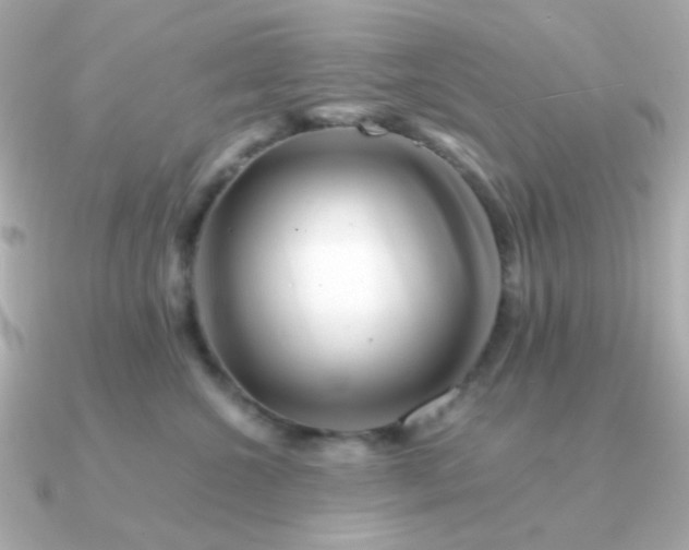 X0000090880572200708101347