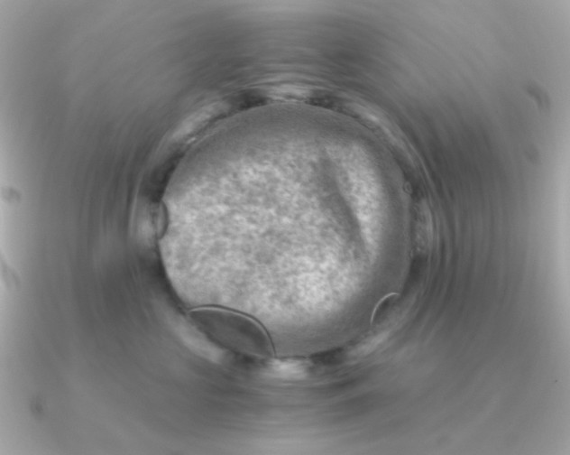 X0000090880573200708101347