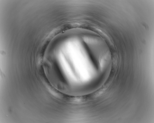 X0000090880574200708101347