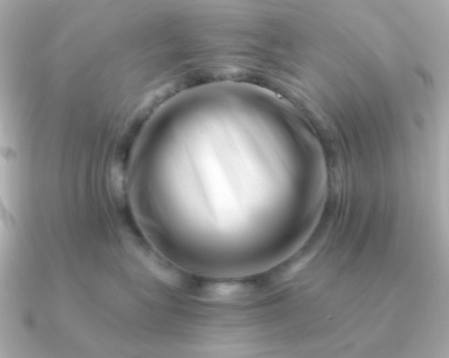 X0000090880575200708101347