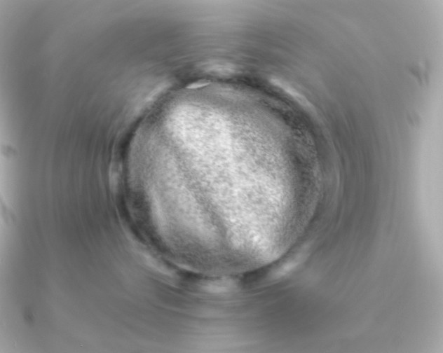 X0000090880576200708101347