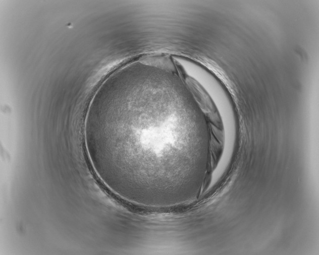 X0000090880577200708101346