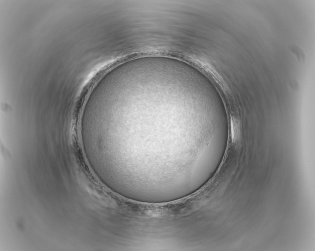 X0000090880579200708101346