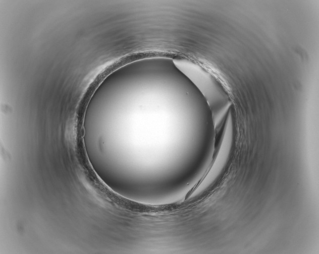 X0000090880580200708101346