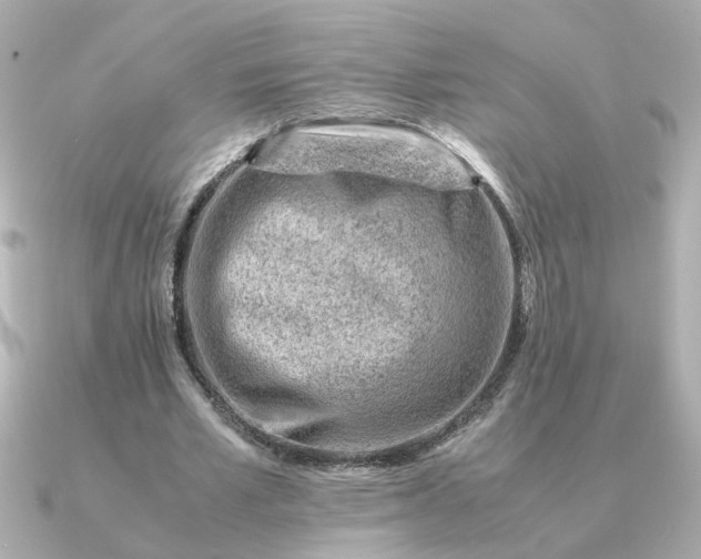 X0000090880581200708101346