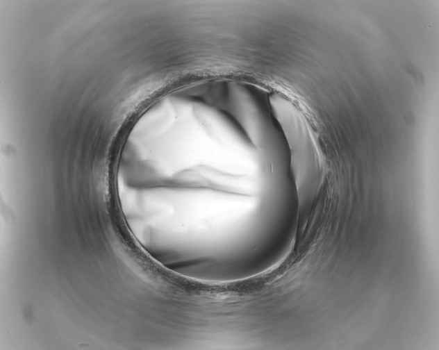 X0000090880582200708101346