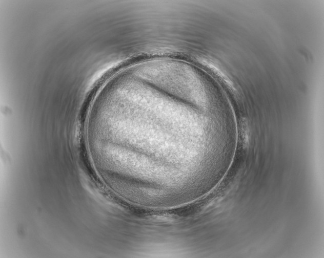 X0000090880583200708101346