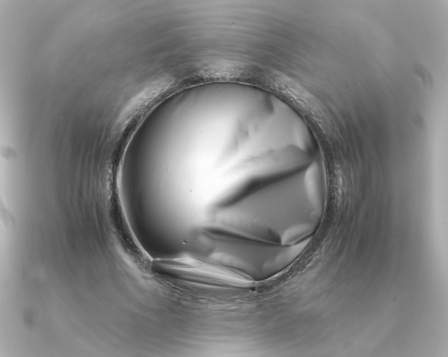 X0000090880586200708101346