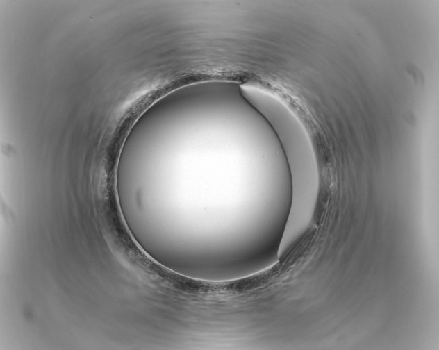 X0000090880587200708101346