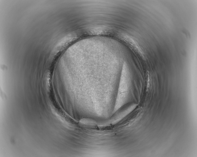 X0000090880590200708101346