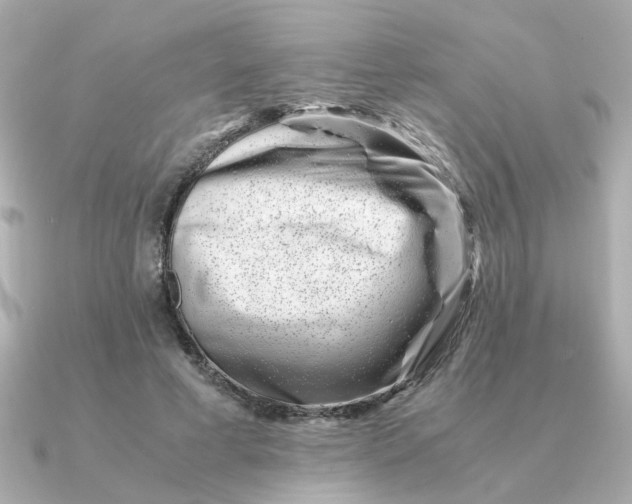 X0000090880593200708101346