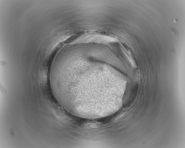 X0000090880595200708101346