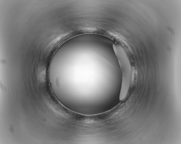 X0000090880596200708101346