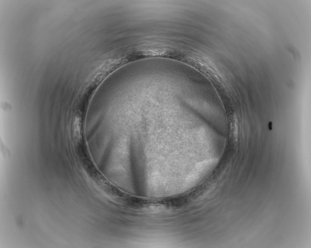 X0000090880598200708101346