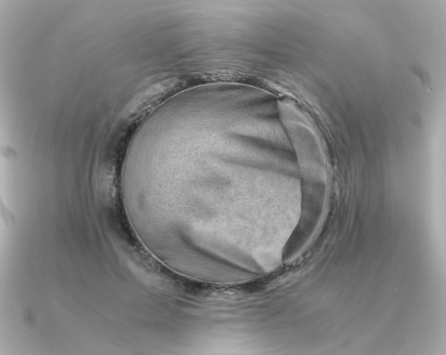 X0000090880599200708101346