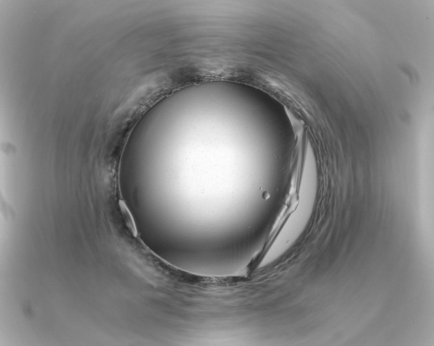 X0000090880601200708101346