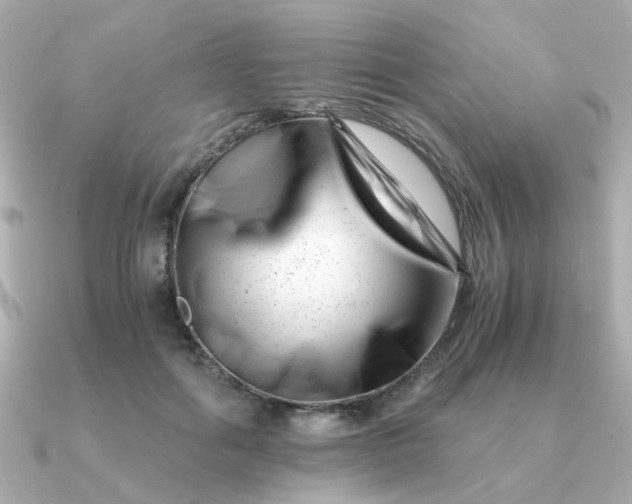 X0000090880602200708101346