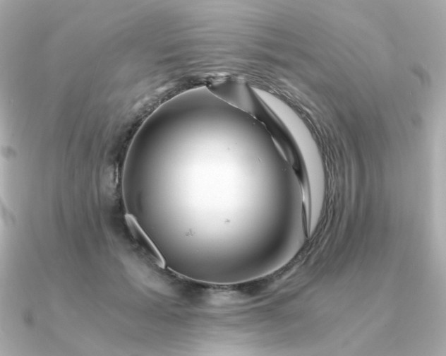 X0000090880605200708101346