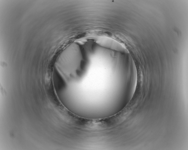 X0000090880607200708101346