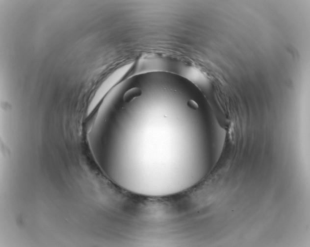 X0000090880608200708101346