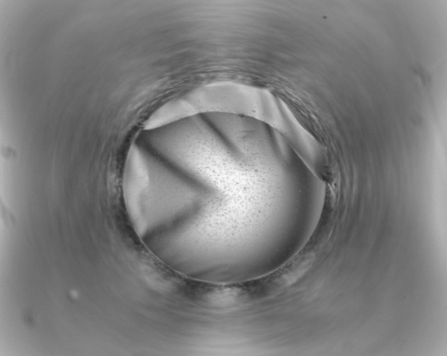 X0000090880609200708101346