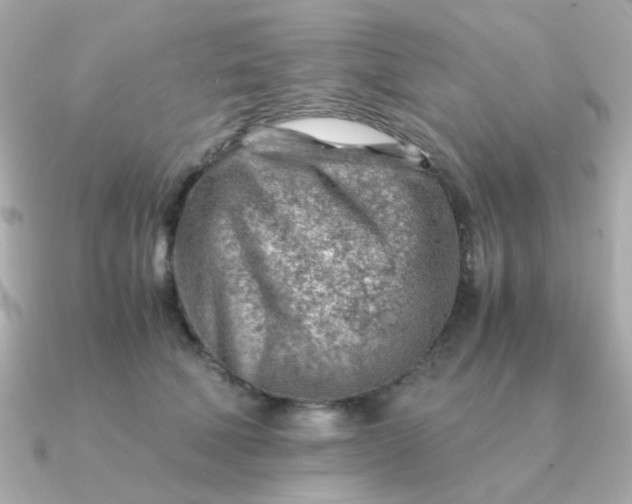 X0000090880610200708101346