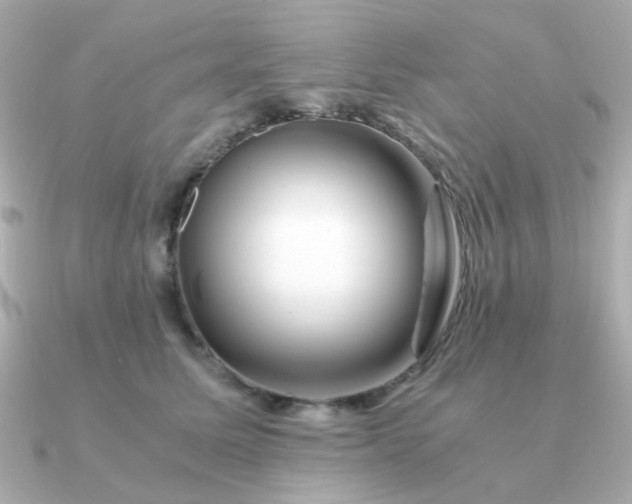 X0000090880611200708101346