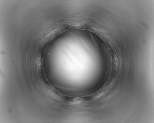 X0000090880612200708101346