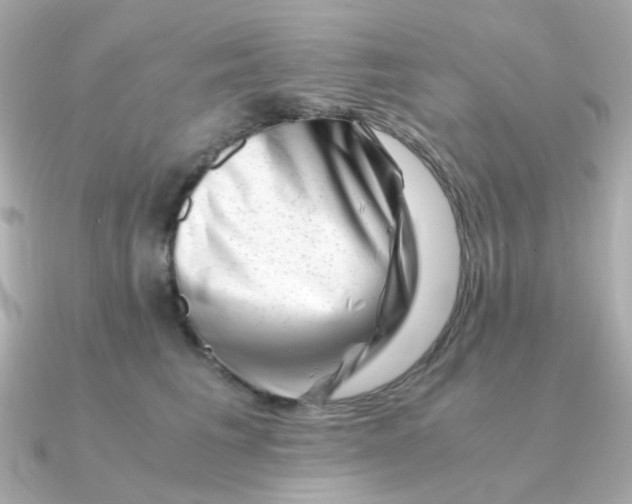 X0000090880613200708101346