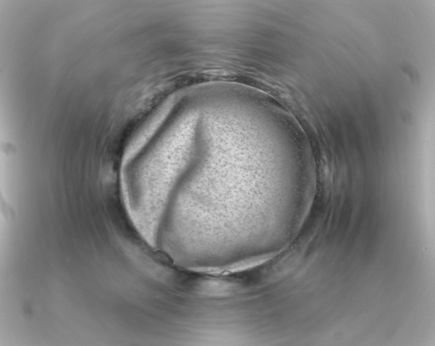 X0000090880614200708101346