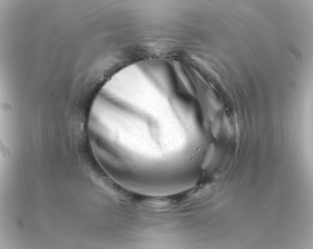 X0000090880615200708101346