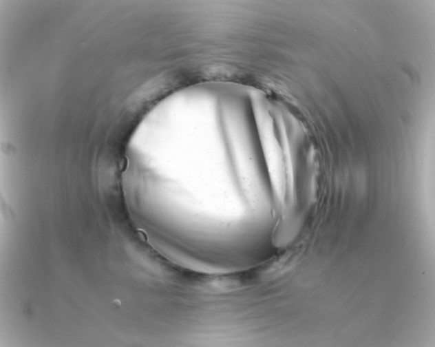 X0000090880619200708101346