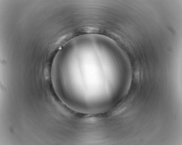 X0000090880620200708101346