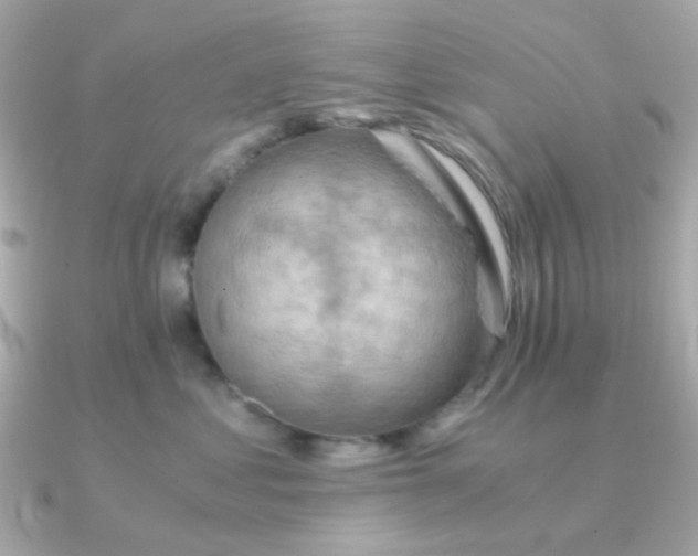 X0000090880621200708101346