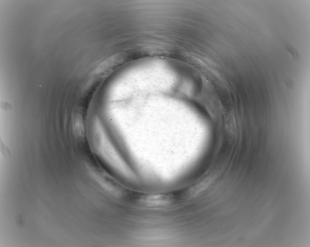 X0000090880622200708101346