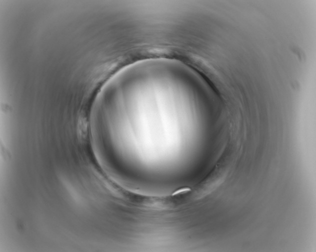 X0000090880624200708101345