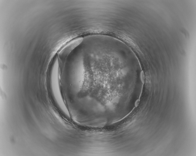 X0000090880626200708101345