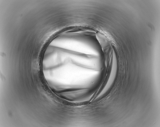 X0000090880628200708101345