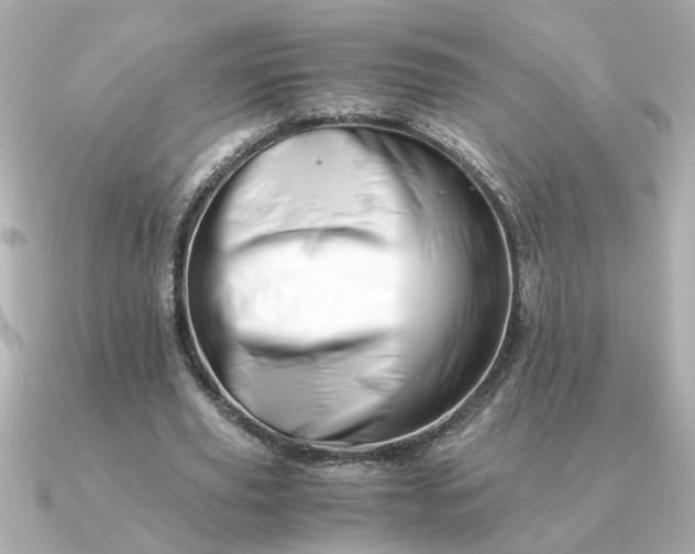 X0000090880629200708101345