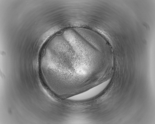 X0000090880630200708101345