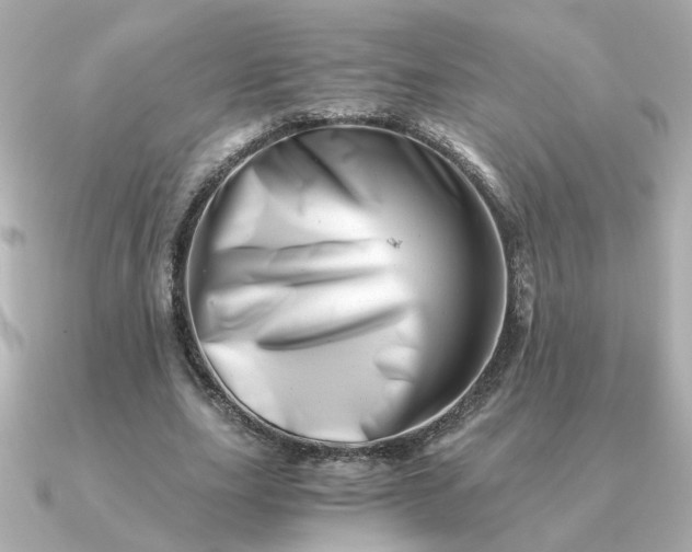 X0000090880631200708101345