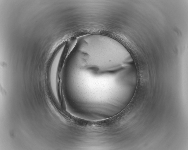 X0000090880634200708101345