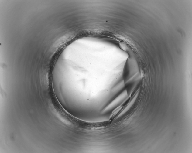 X0000090880638200708101345