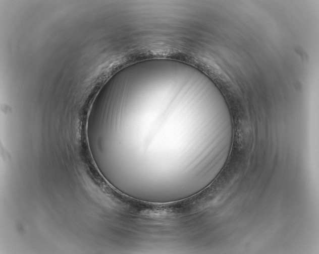 X0000090880639200708101345